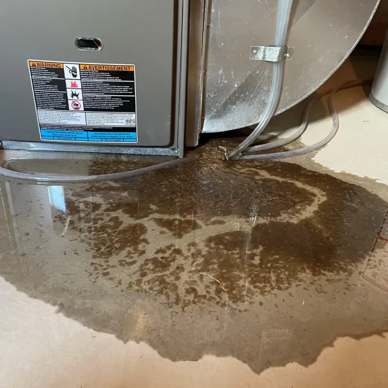 Appliance Leak Cleanup in Biscoe, NC